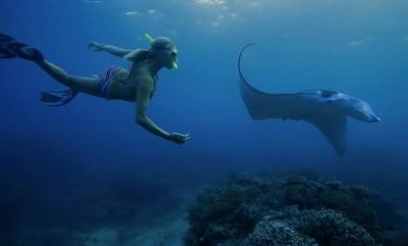 Snorkeling 3-Point with Lunch to Lembongan & Penida