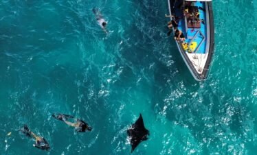 Private Snorkeling 4-Point Nusa Penida – Flexible Pick-Up Options