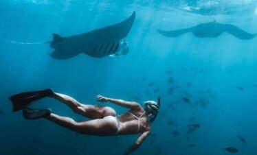 Snorkeling 3-Point + Manggrove Tour To Lembongan & Penida
