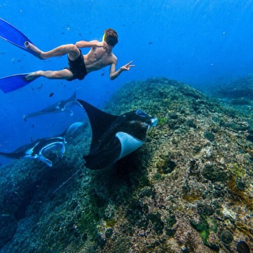 Private Snorkeling & West Nusa Penida Tour – Flexible Pick-Up Options
