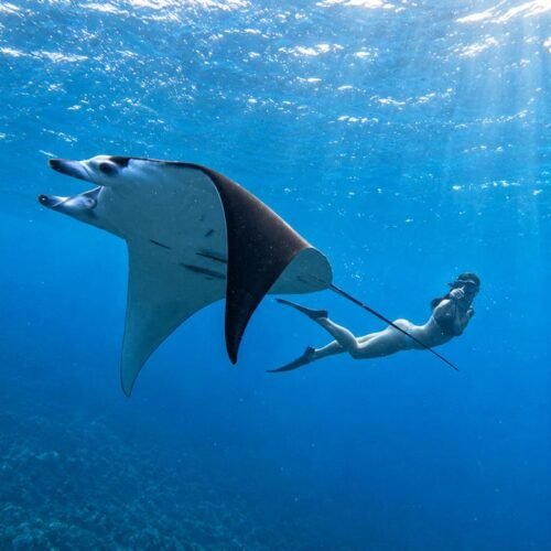 Private Snorkeling 4-Point Nusa Penida – Flexible Pick-Up Options