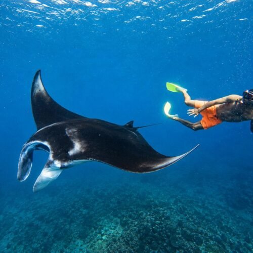 Sharing Snorkeling 3-Point & West Nusa Penida Tour