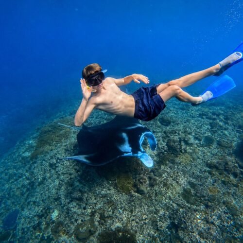 Snorkeling 3-Point + Manggrove Tour To Lembongan & Penida