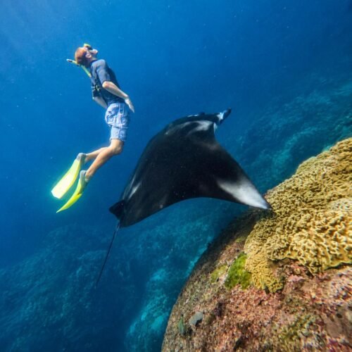 Snorkeling 3-Point with Lunch to Lembongan & Penida