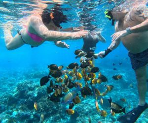 Nusa Penida Full Day Private Snorkeling Tour (2)