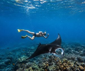 Snorkeling Nusa Penida Tour 14