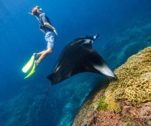 Snorkeling Nusa Penida Tour 5