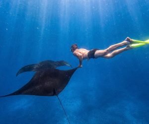 Snorkeling Nusa Penida Tour 6