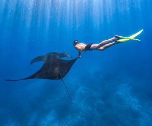 Snorkeling Nusa Penida Tour 8